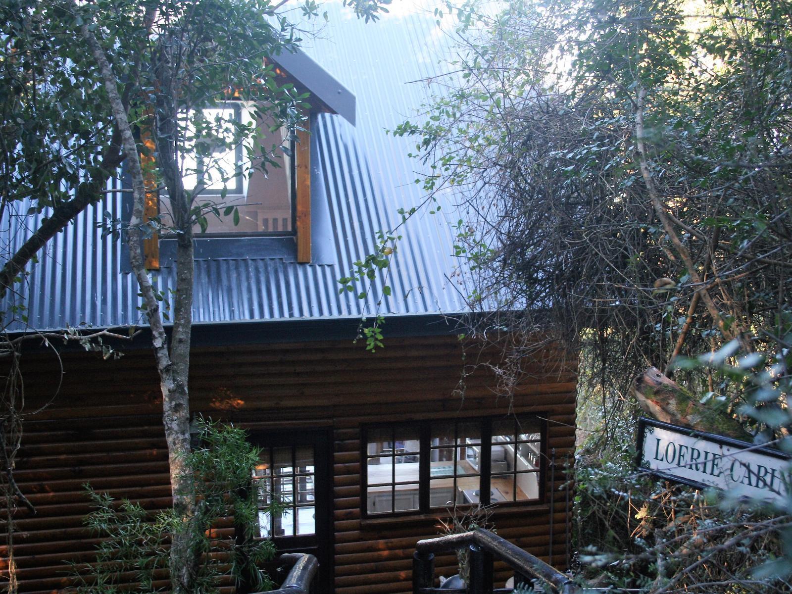 Wilderness Bushcamp