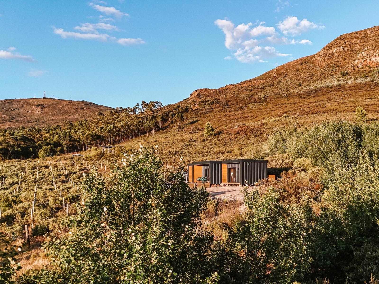 Springsteen Cabins