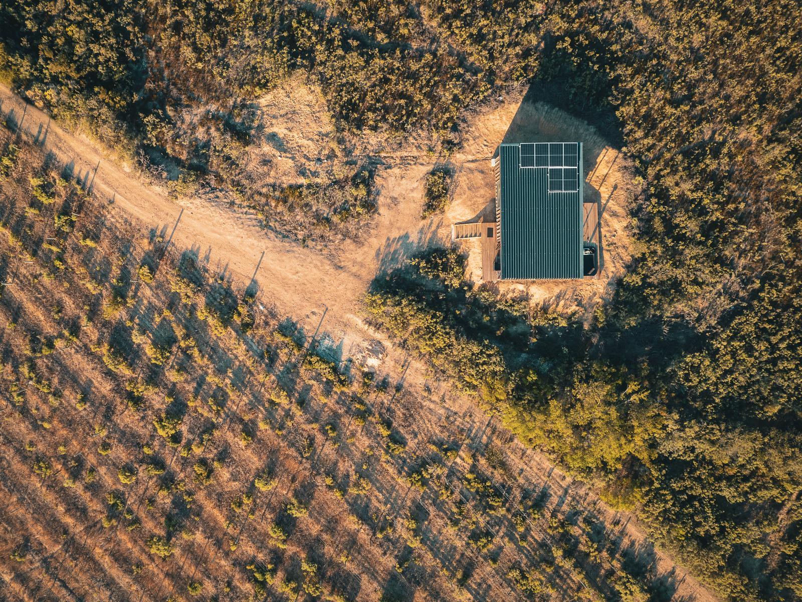 Springsteen Cabins