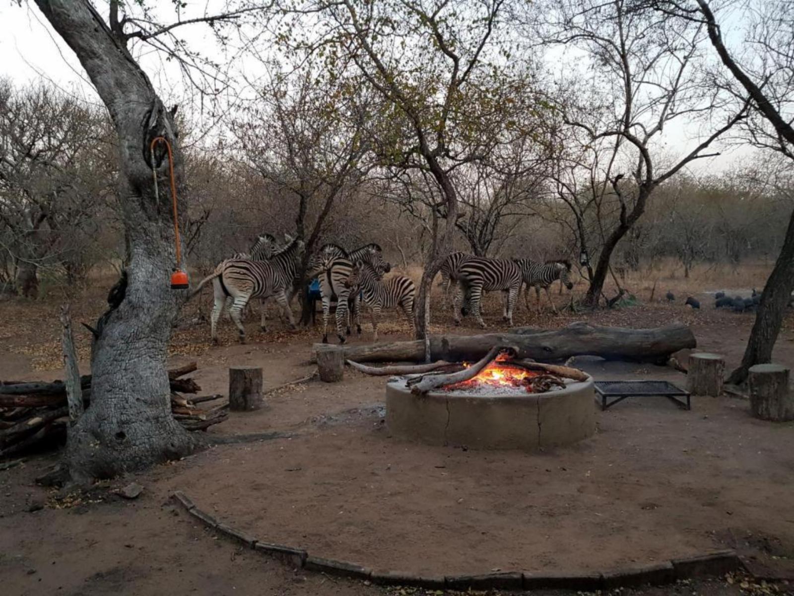 HomeBase Kruger