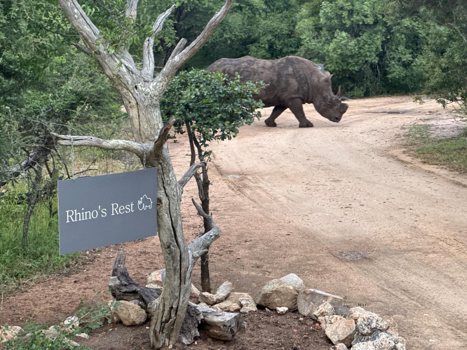 Rhino's Rest Private Luxury Villa