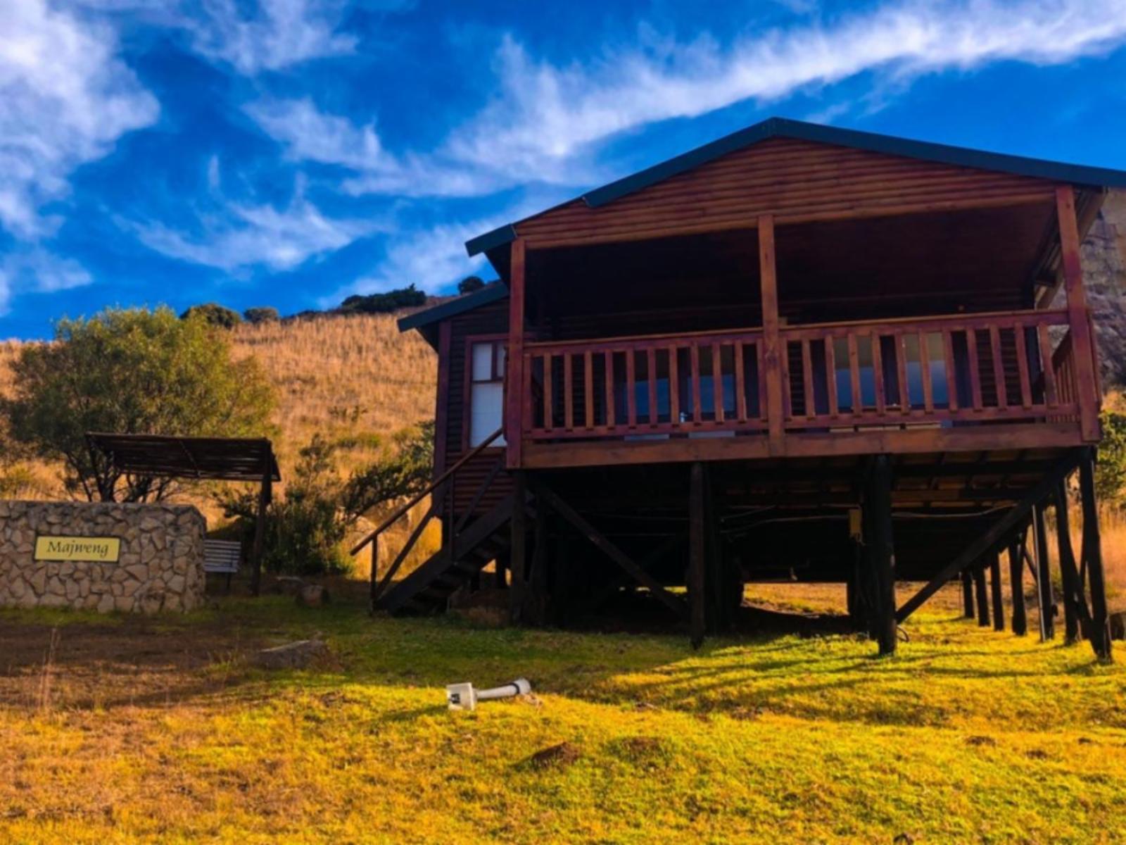 Yarona Guest Farms