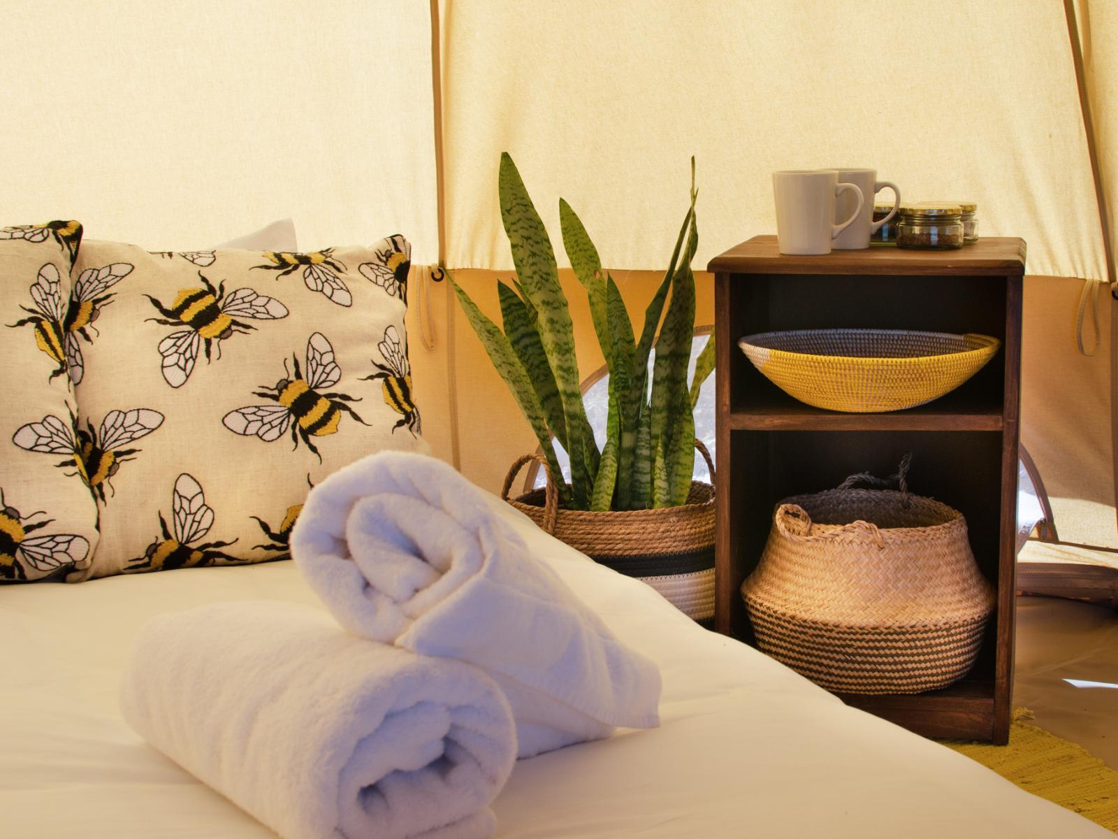 The Leadwood Safari Camp Budget Deals and Offers Book Now!