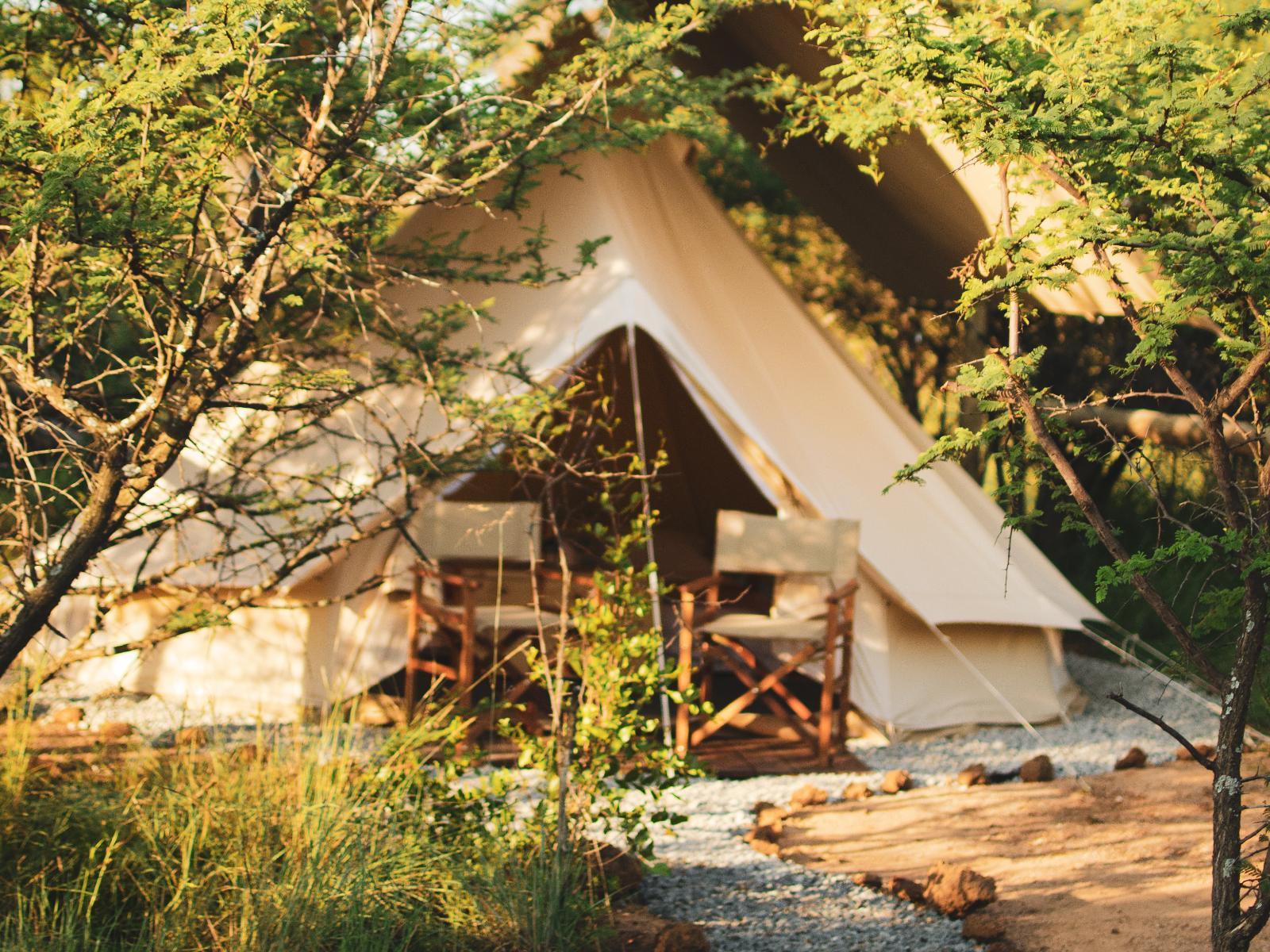 The Leadwood Safari Camp Budget Deals and Offers Book Now!