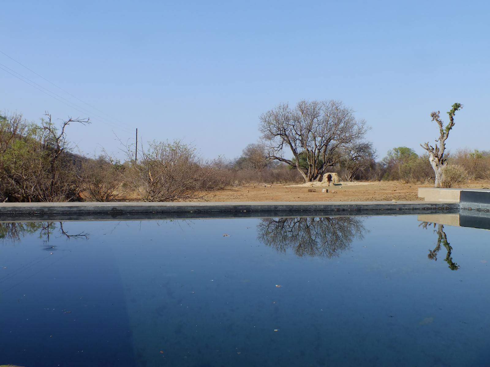 Mabalingwe Game Reserve