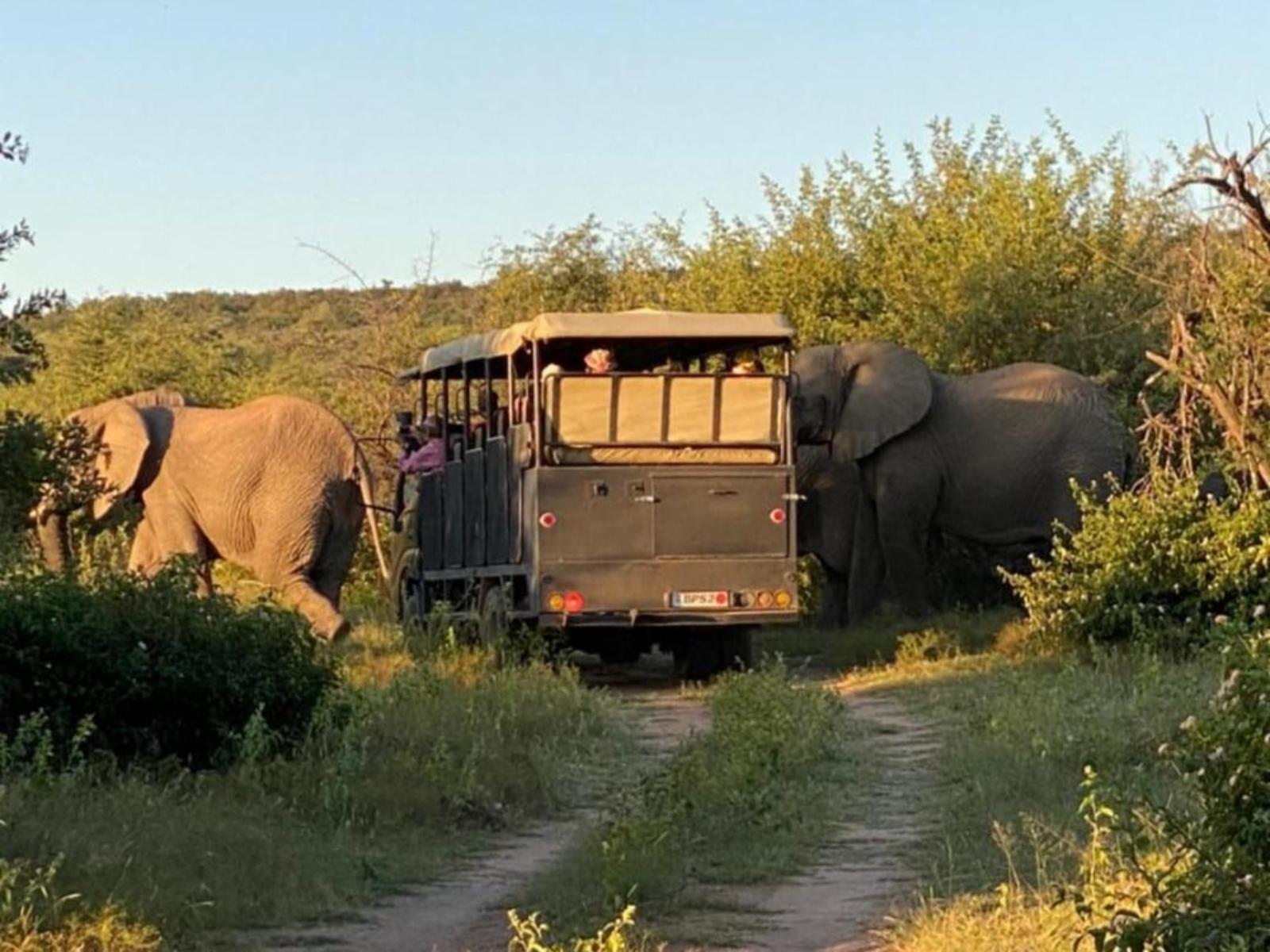 Mabalingwe Game Reserve