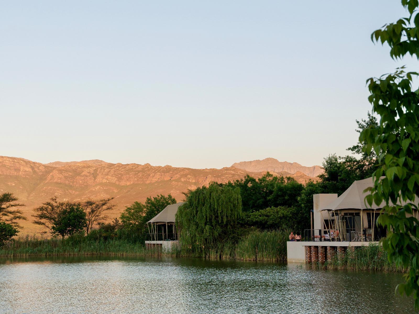 Dawn Mountains Farm