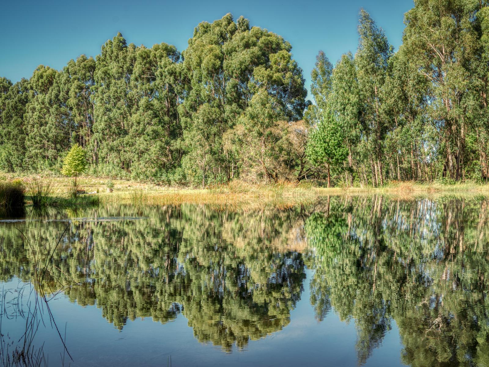 Trout Escape Farm