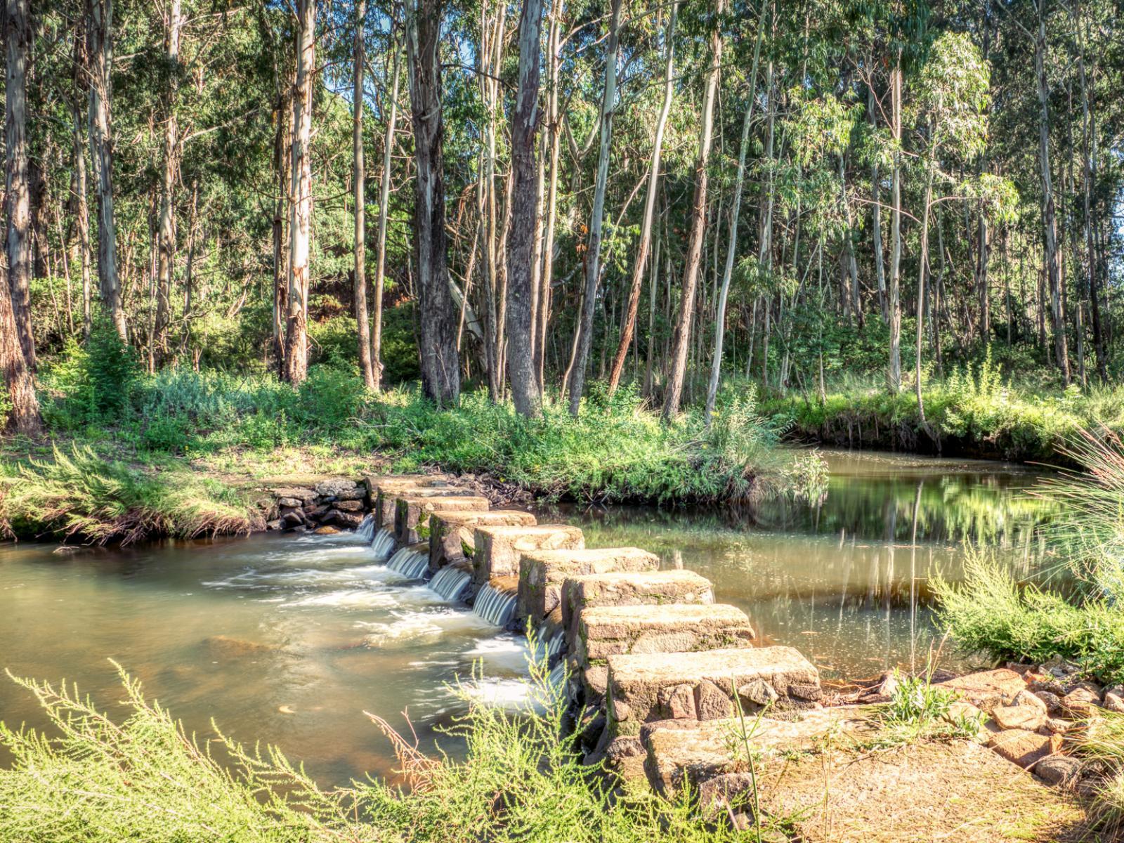 Trout Escape Farm