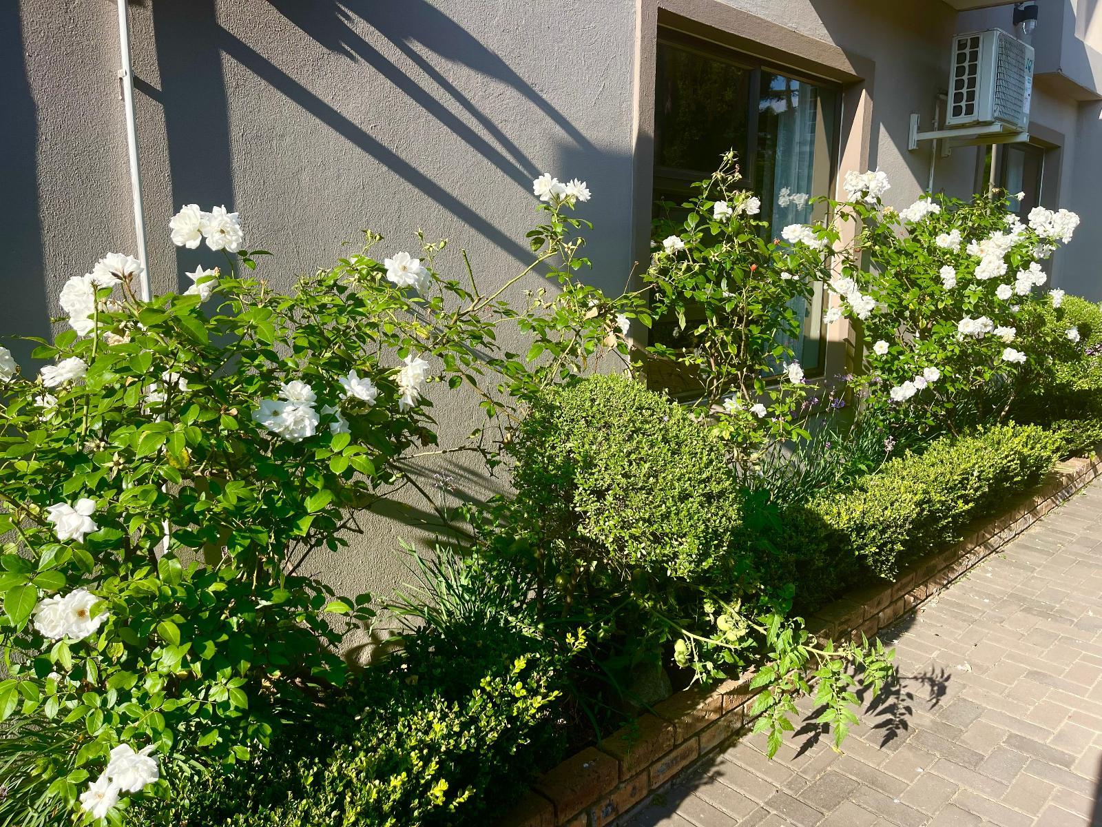 Azinnia Rivonia Guest House