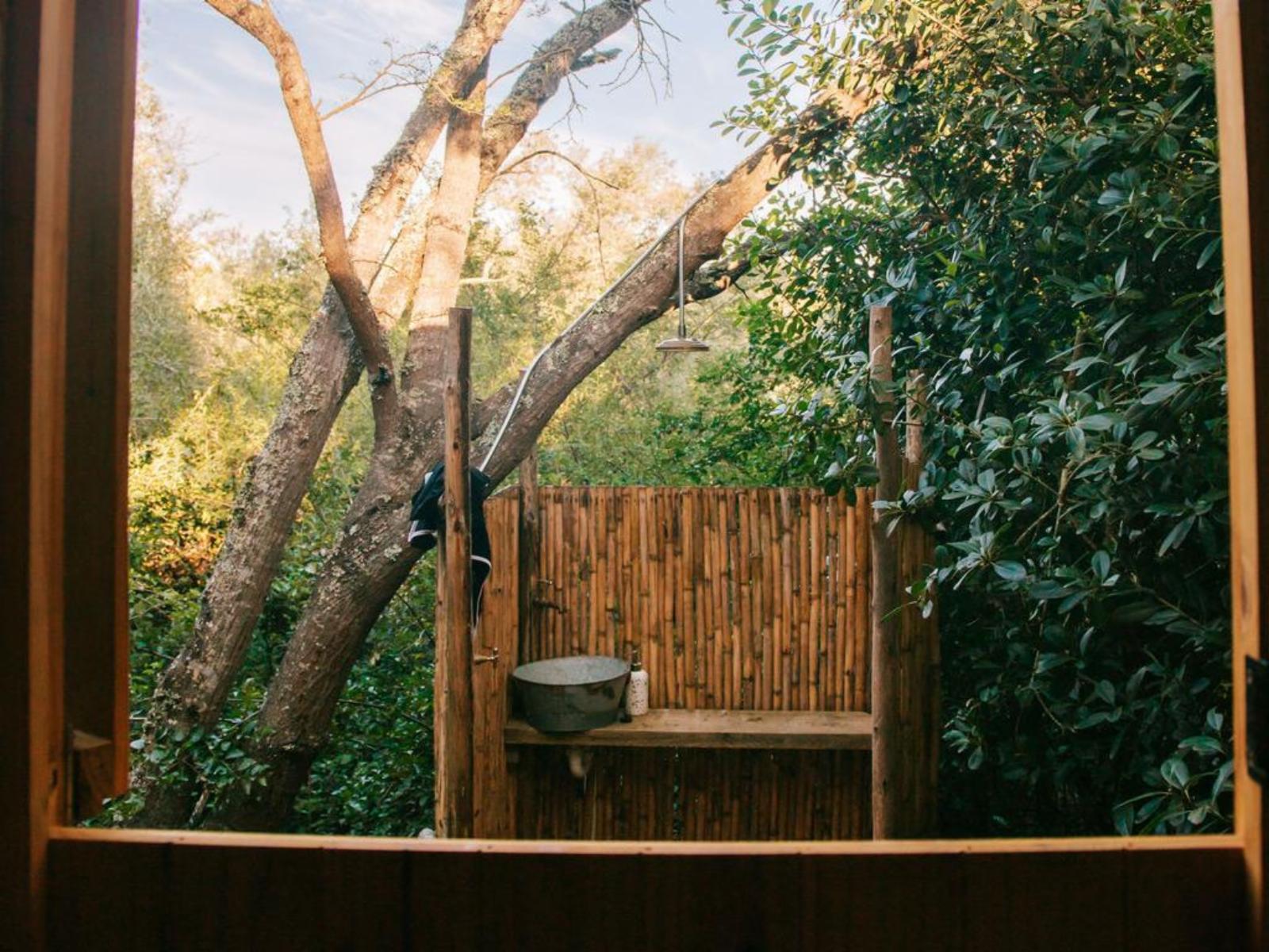 The Gaia Sanctuary
