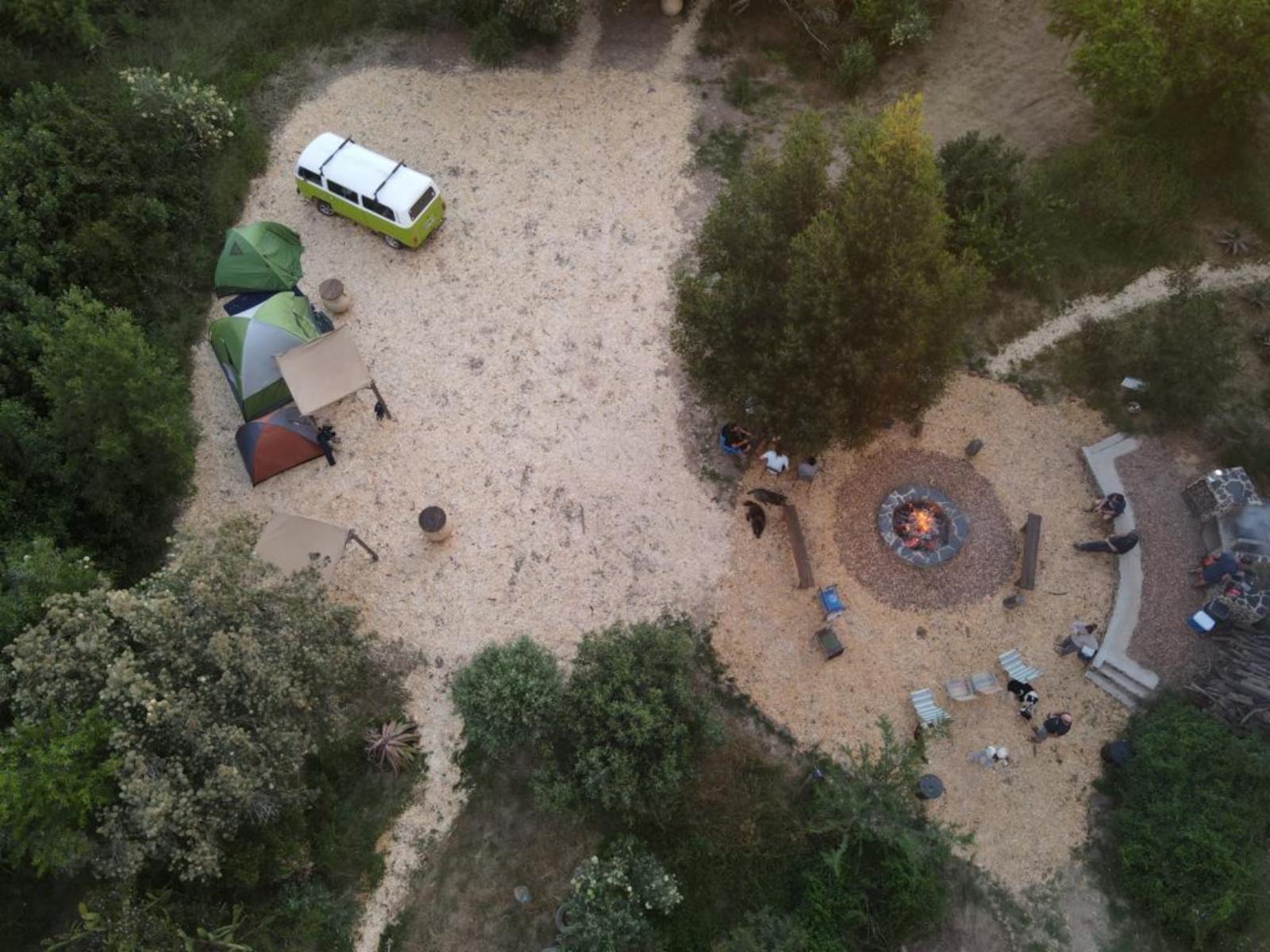 The Gaia Sanctuary
