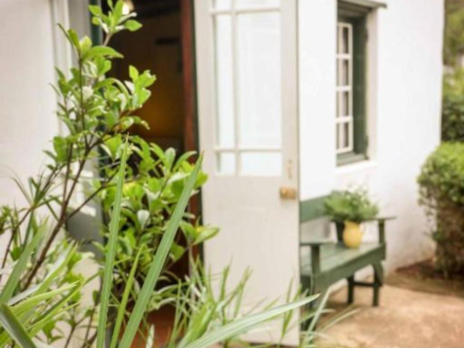 Oil Mill Guesthouse