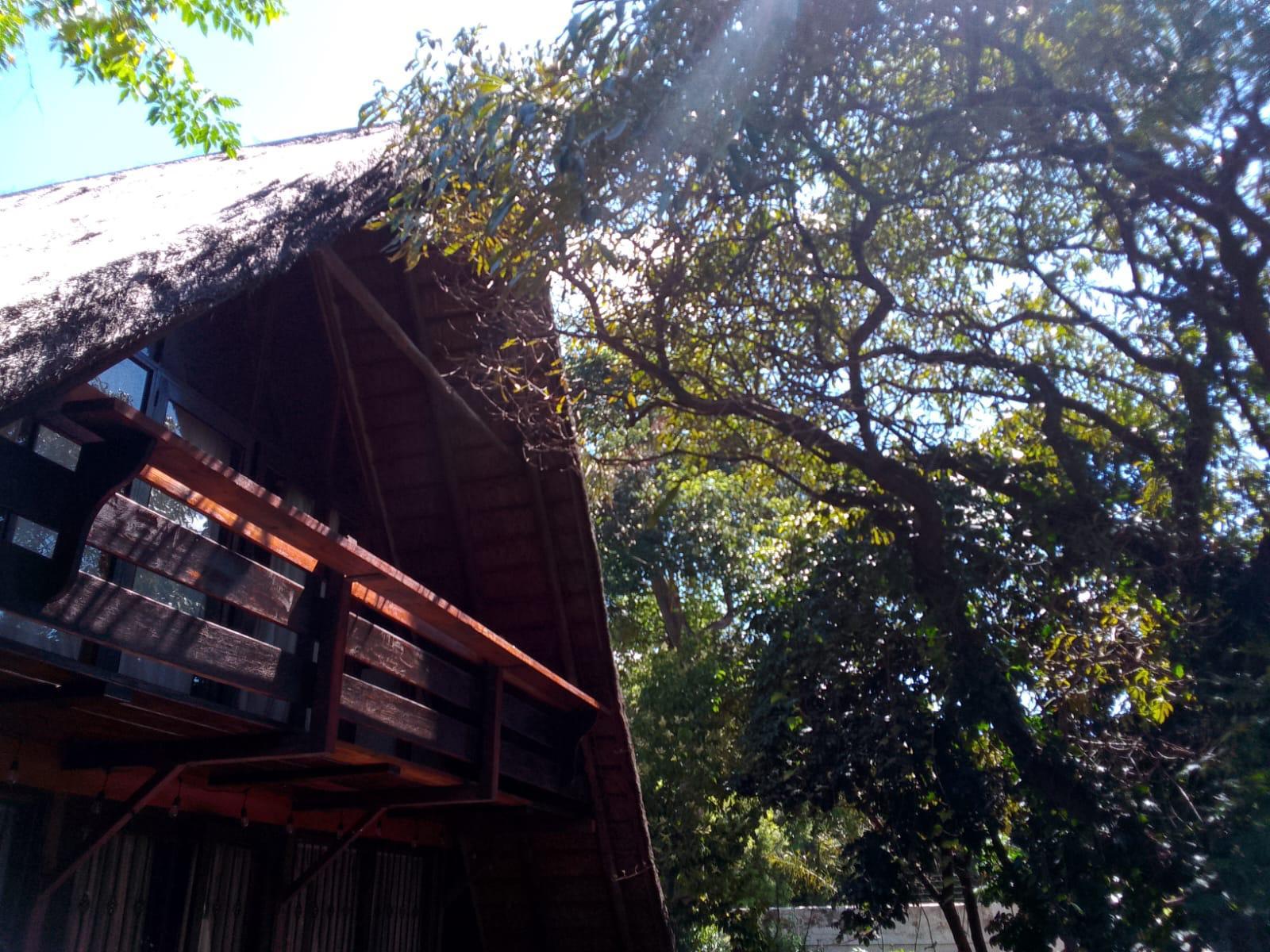 Pantera Lodge