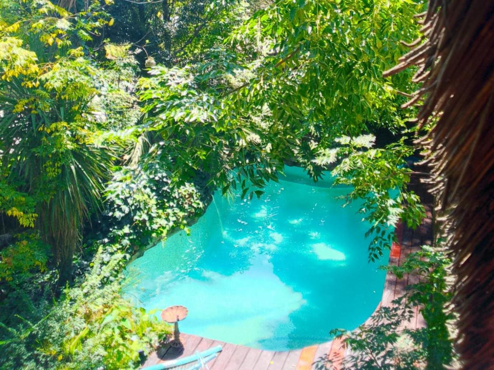 Pantera Lodge