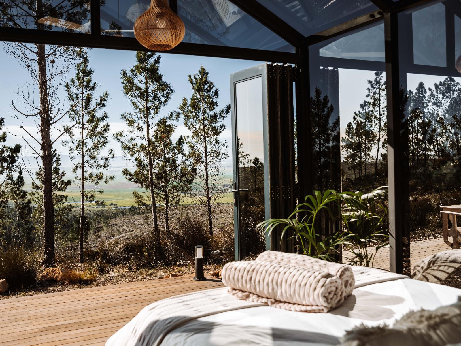 Sky Camp, Napier