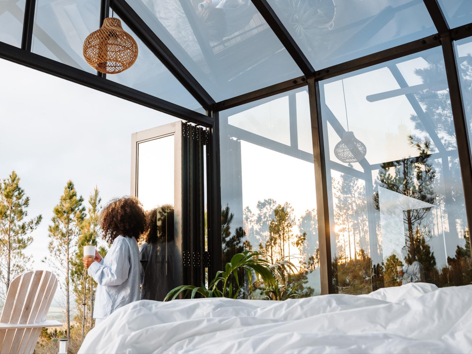 Sky Camp, Napier