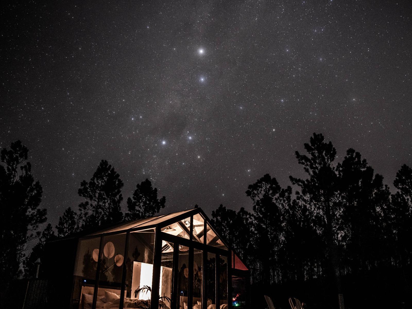 Sky Camp, Napier
