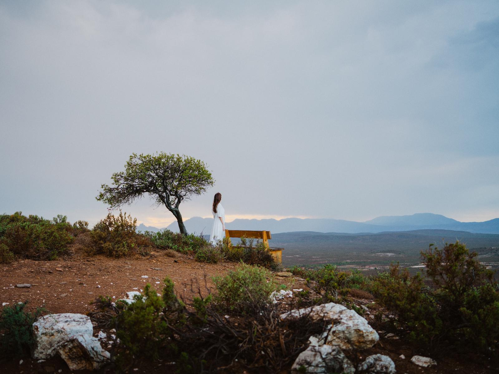 Aardvark Bioreserve