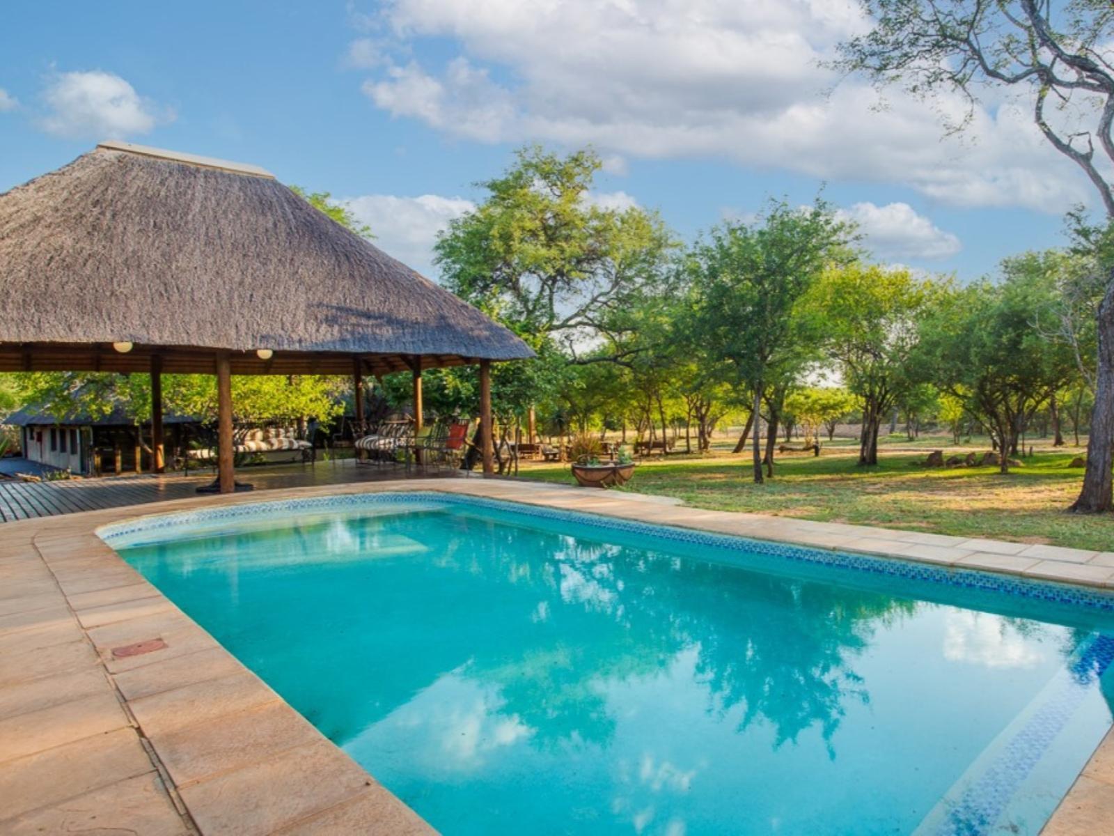 Kubu Bush Lodge in Hoedspruit BEST Getaways South Africa's best