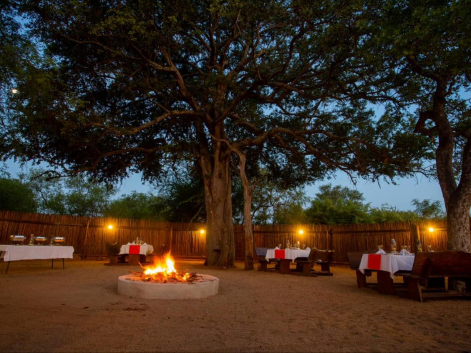 Kubu Bush Lodge