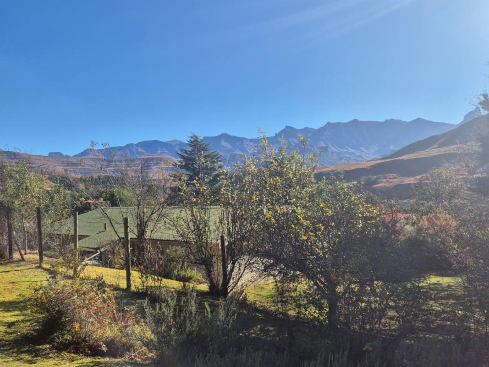 Thekwane’s Nest Ondini