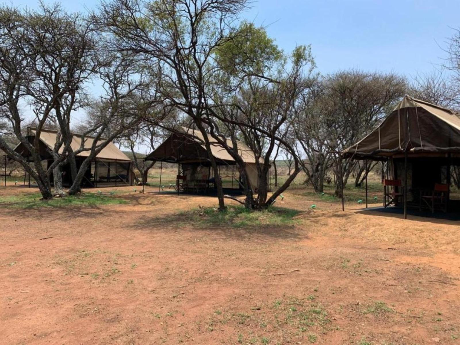 Zebra Nature Reserve