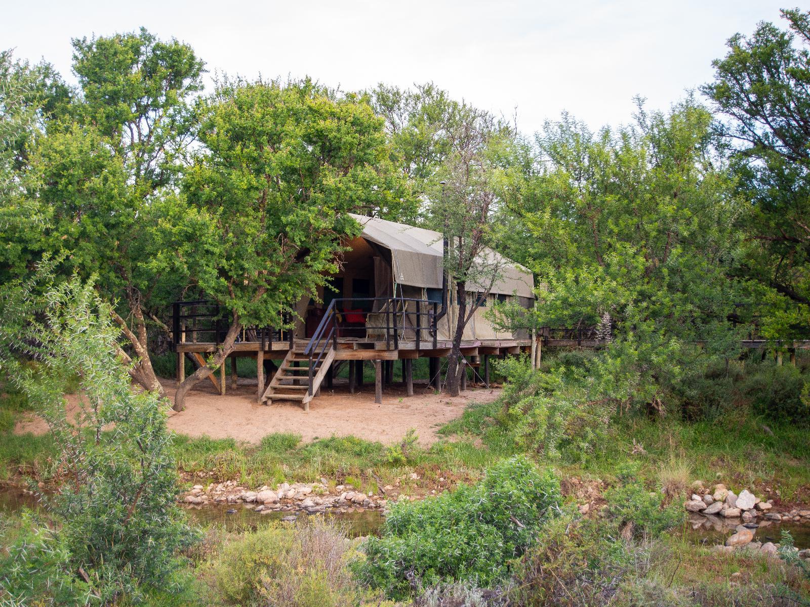 Elandspoort Private Game Reserve