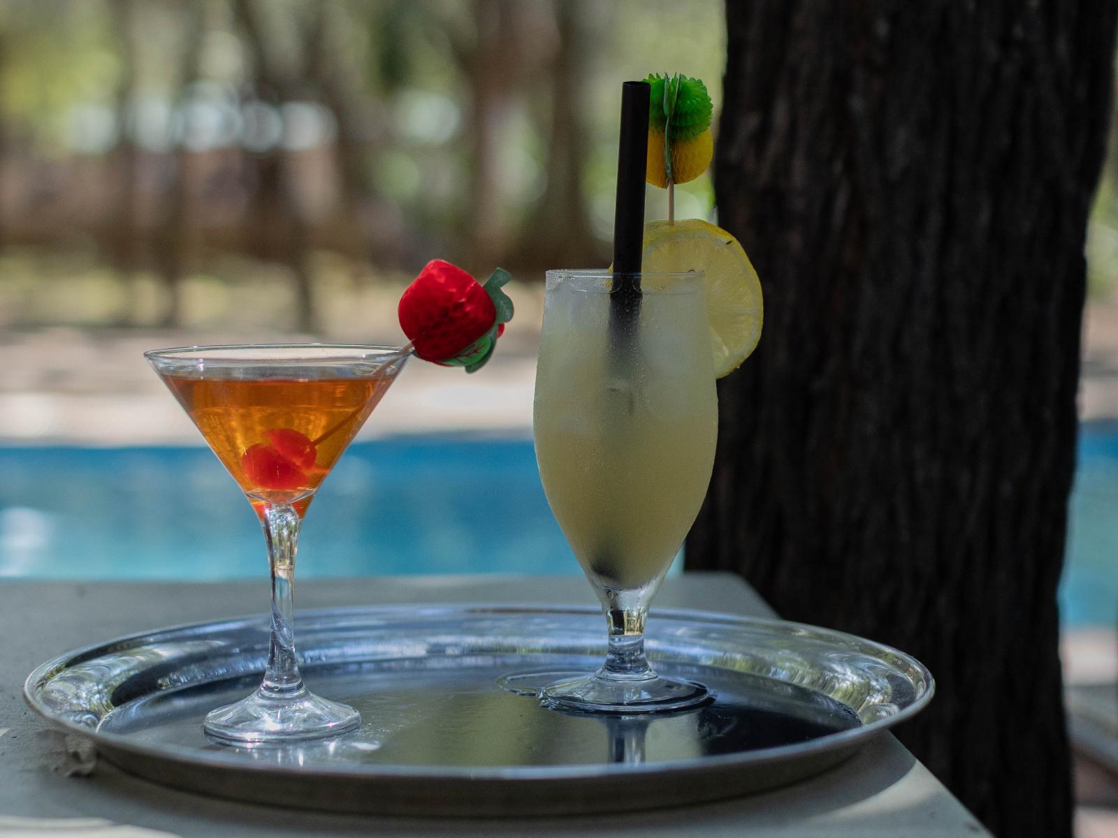 Phakela Private Game Lodge