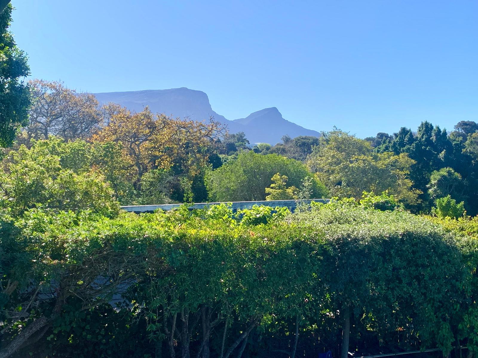 Roomtype 4: Neighbourhood Constantia Winelands Lodge