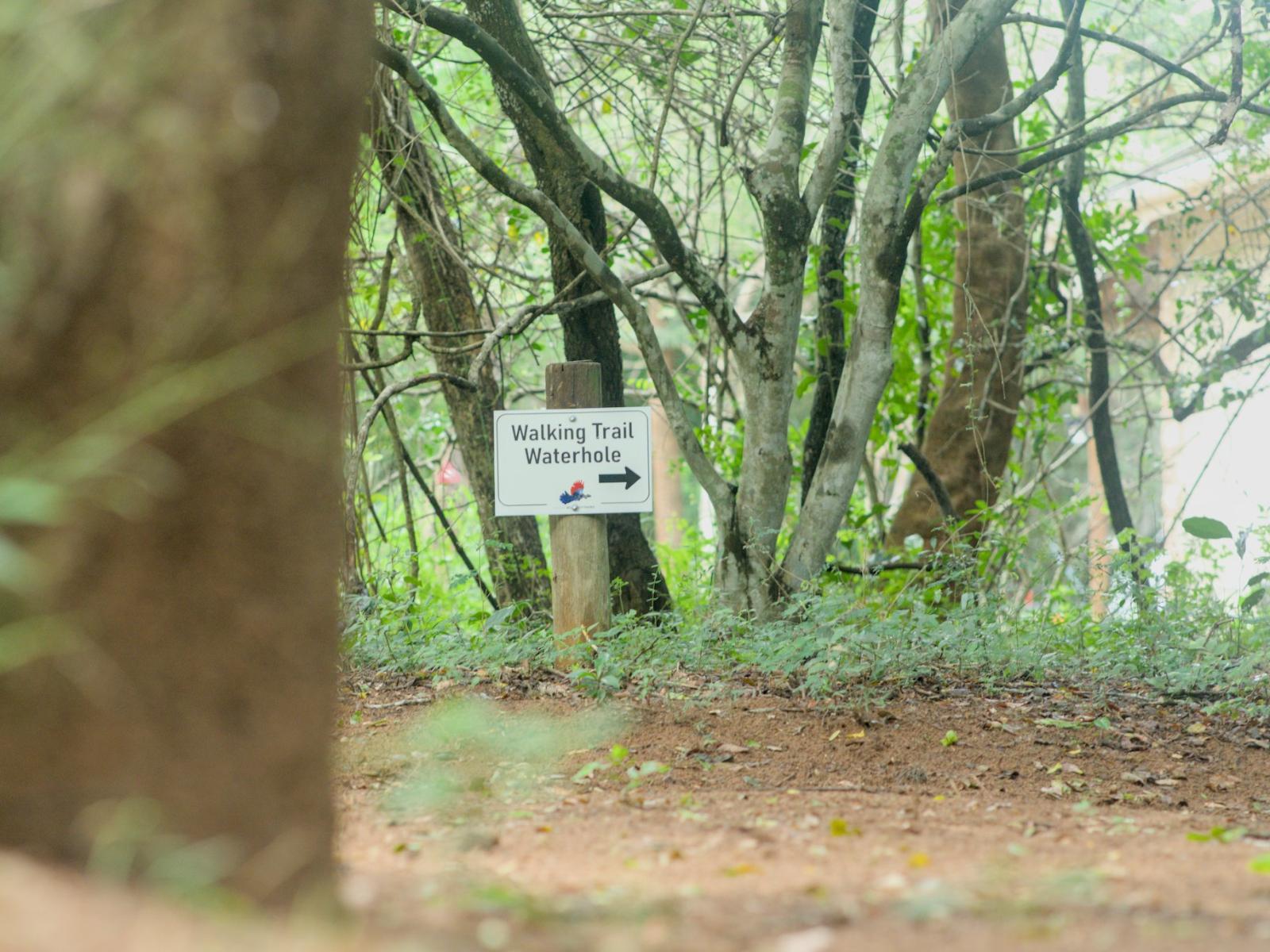 Mazuri Bush Cottages