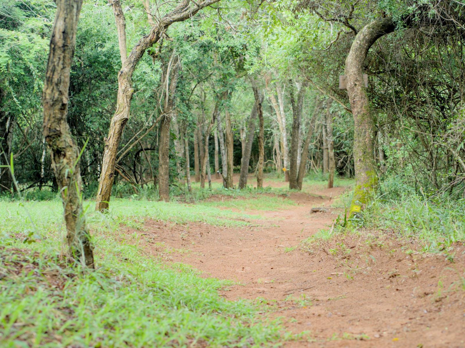 Mazuri Bush Cottages