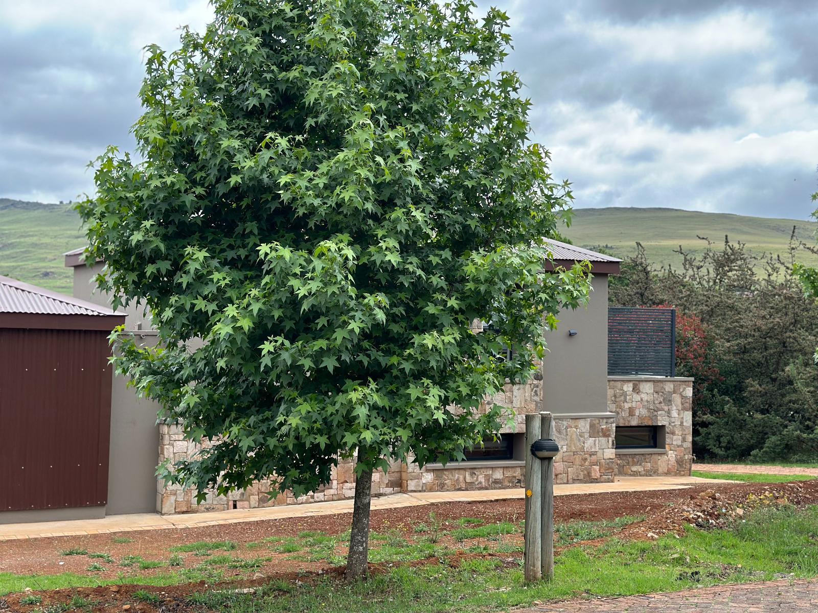 Dullstroom Musanda Villa
