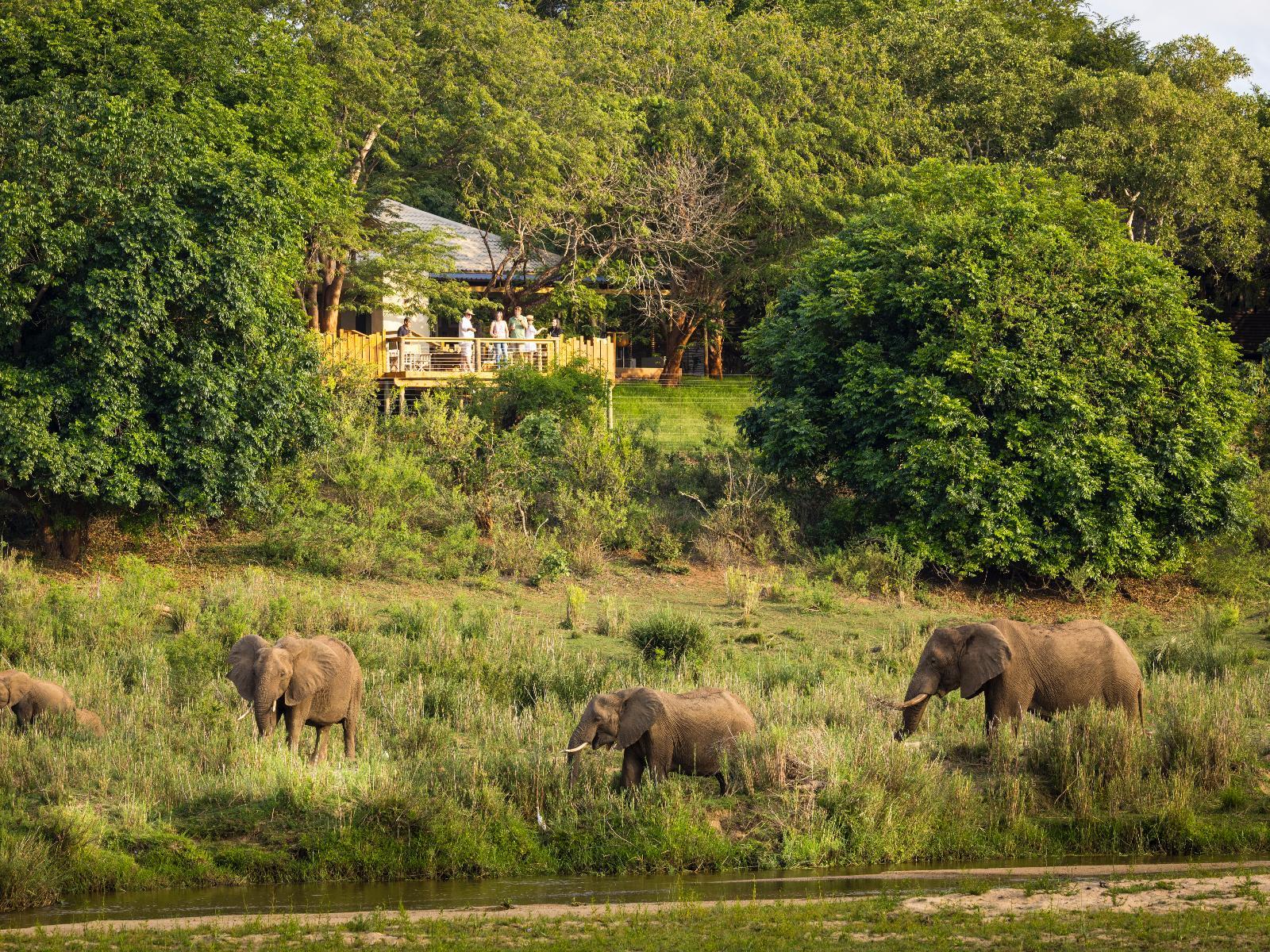 Elephant Walk Tented Camp