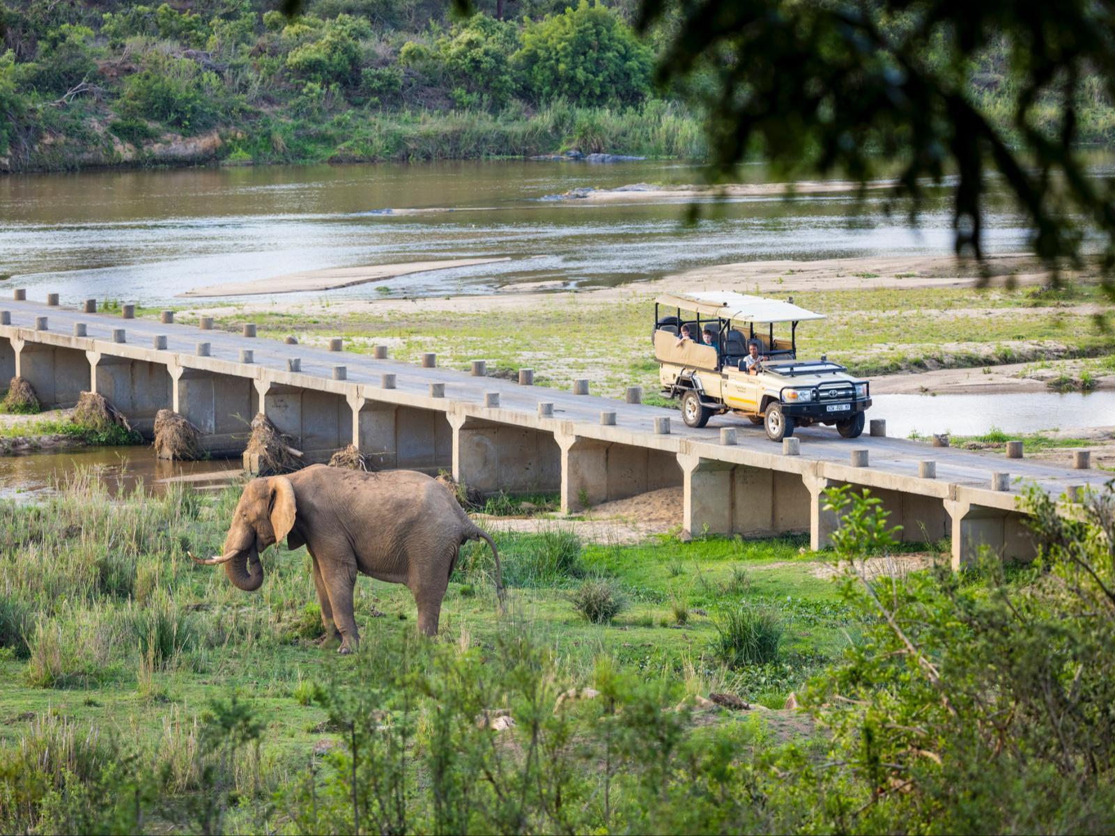 Elephant Walk Tented Camp