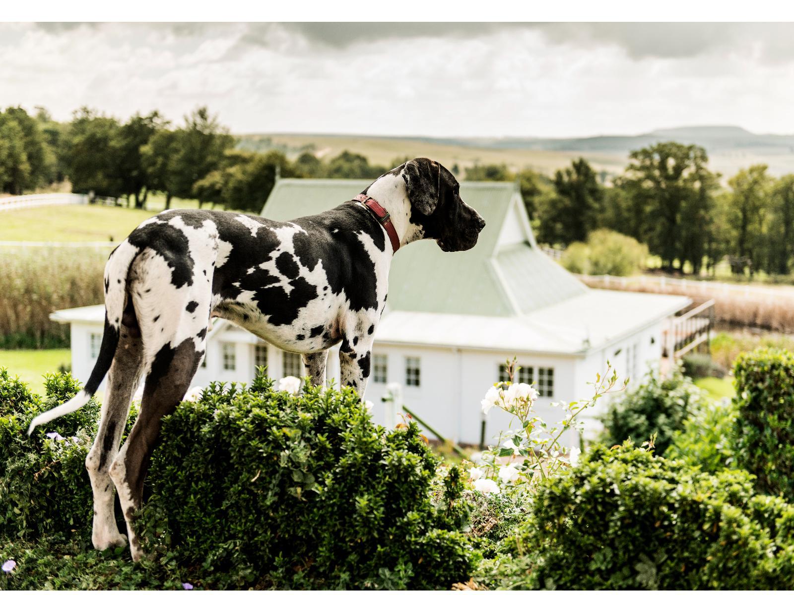 Oaklands Farm Stay