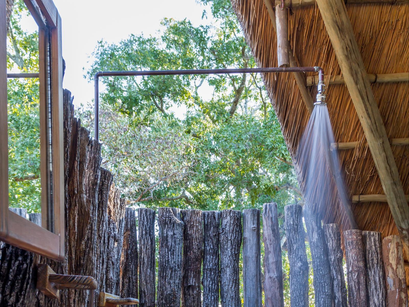 Frank's Bush Camp