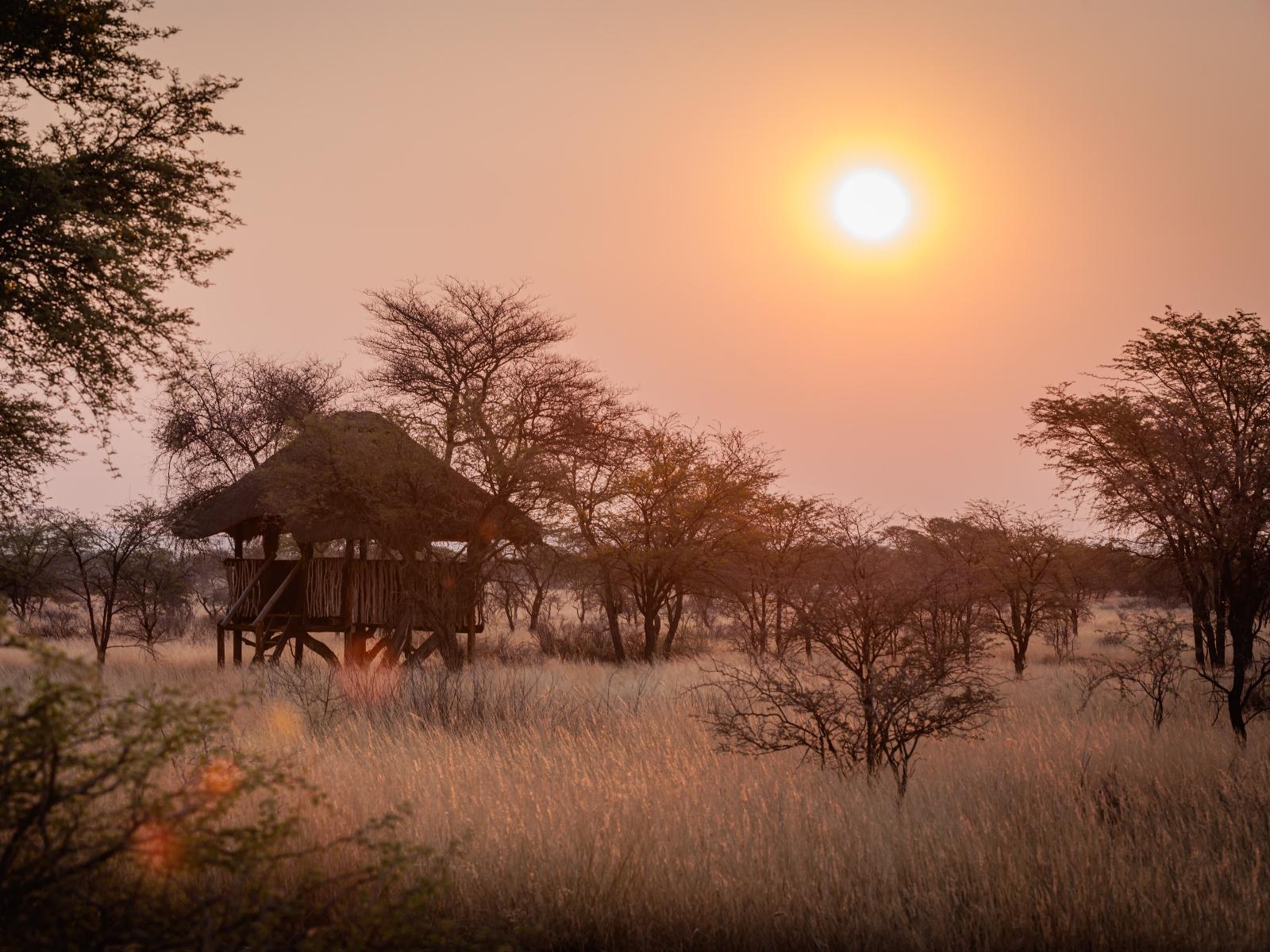 Eningu Kalahari Lodge