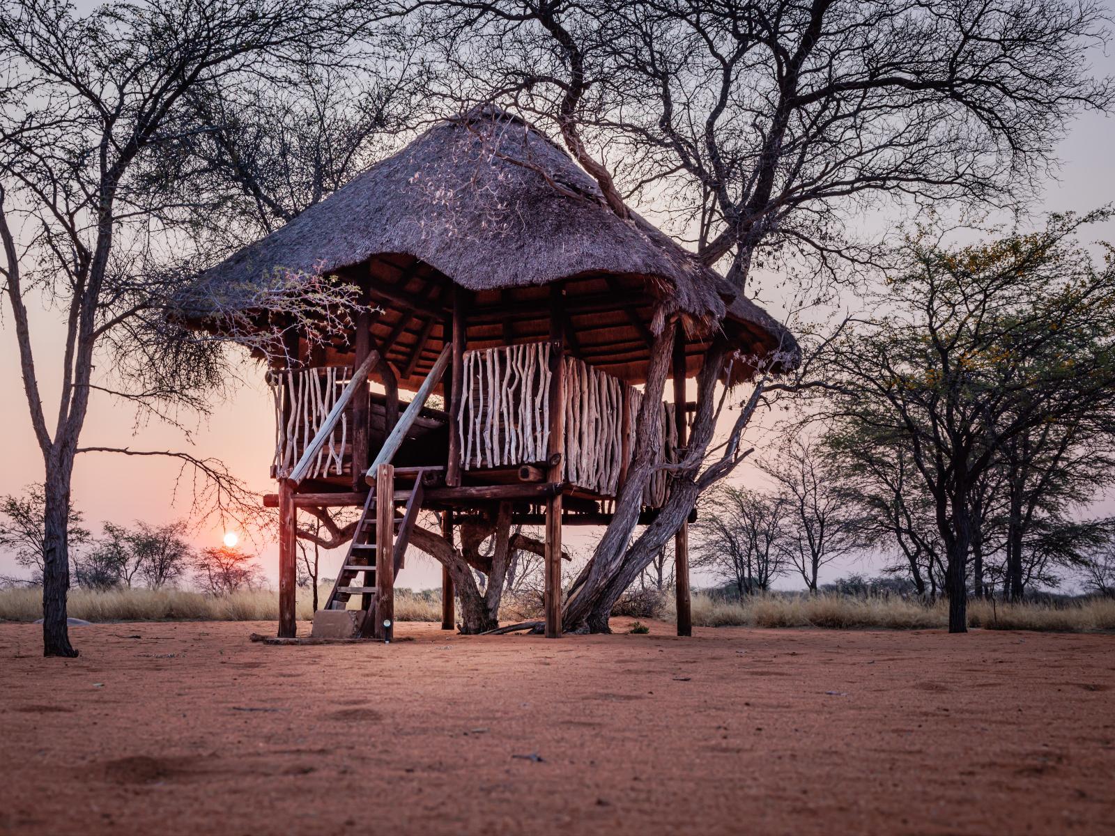 Eningu Kalahari Lodge