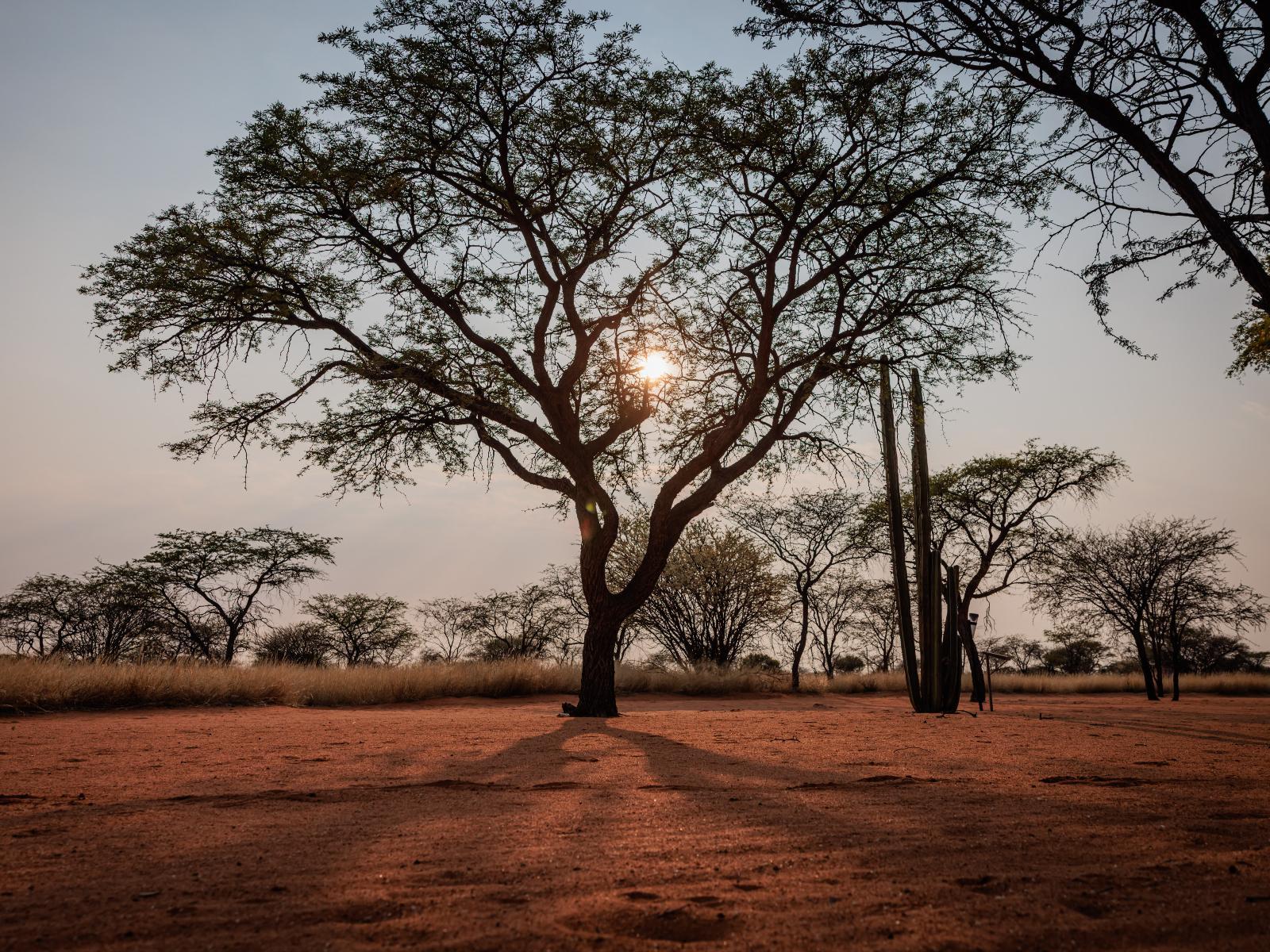 Eningu Kalahari Lodge