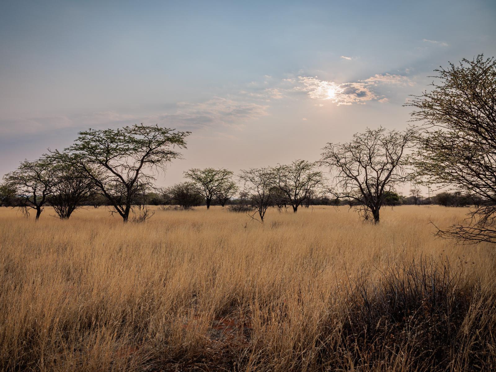 Eningu Kalahari Lodge