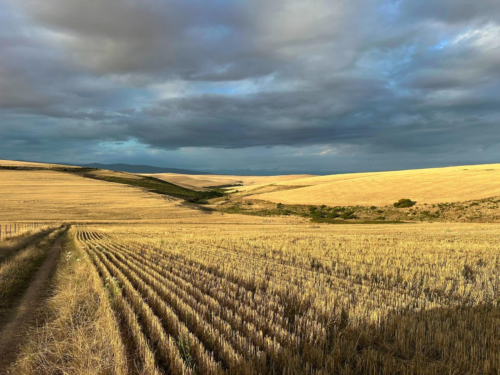 Rolling Hills Farmstead