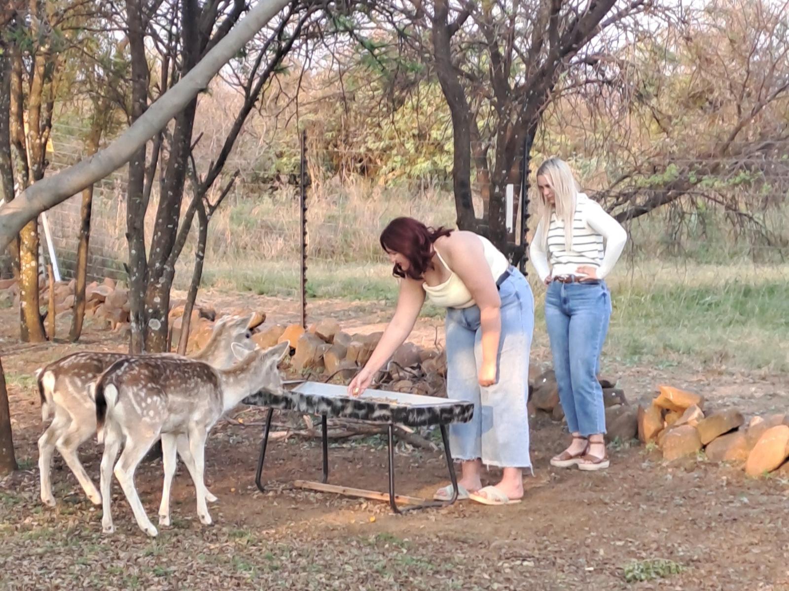 Buck Hill Bush Lodge