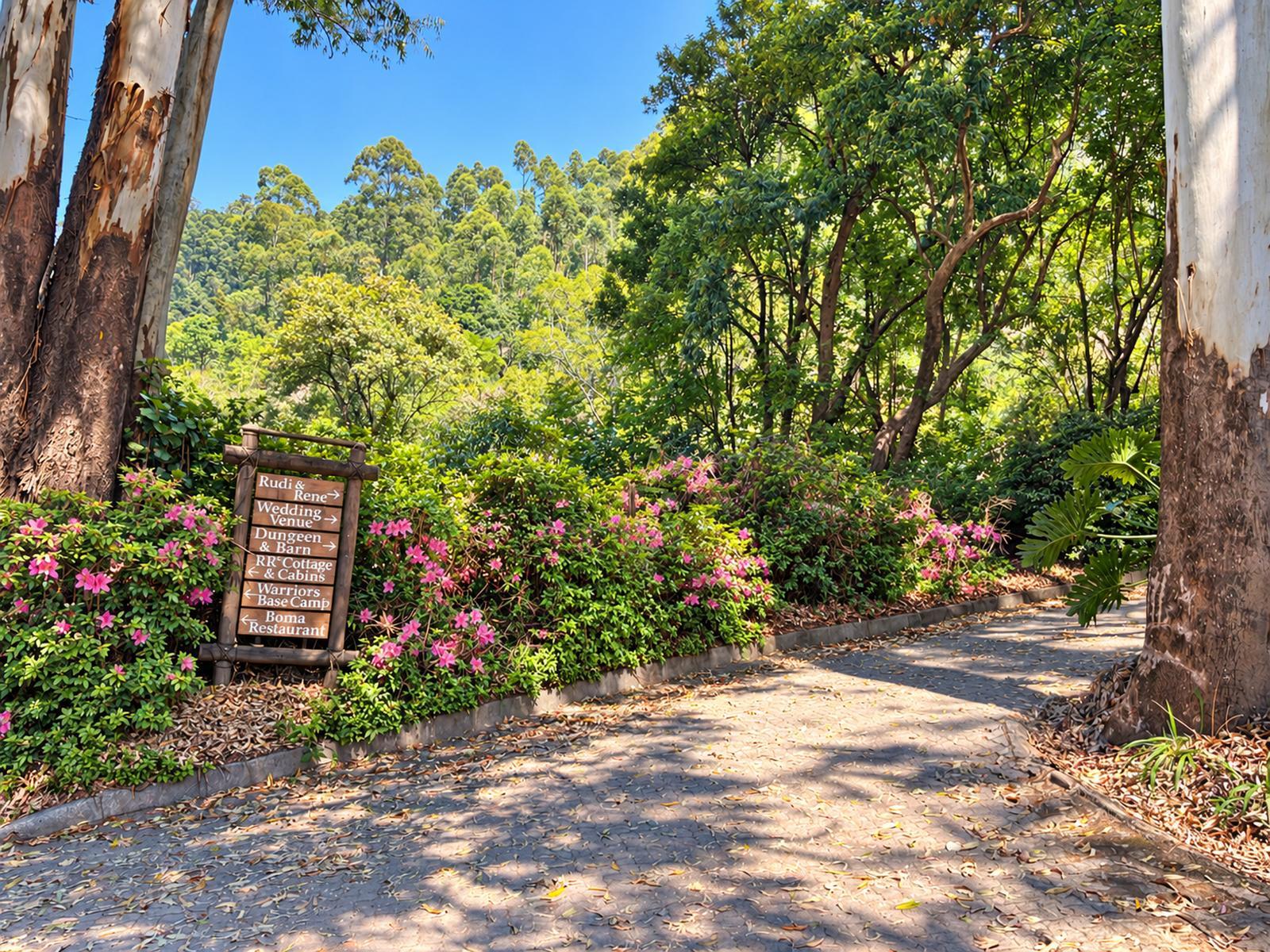 Magoebaskloof Mountain Estate