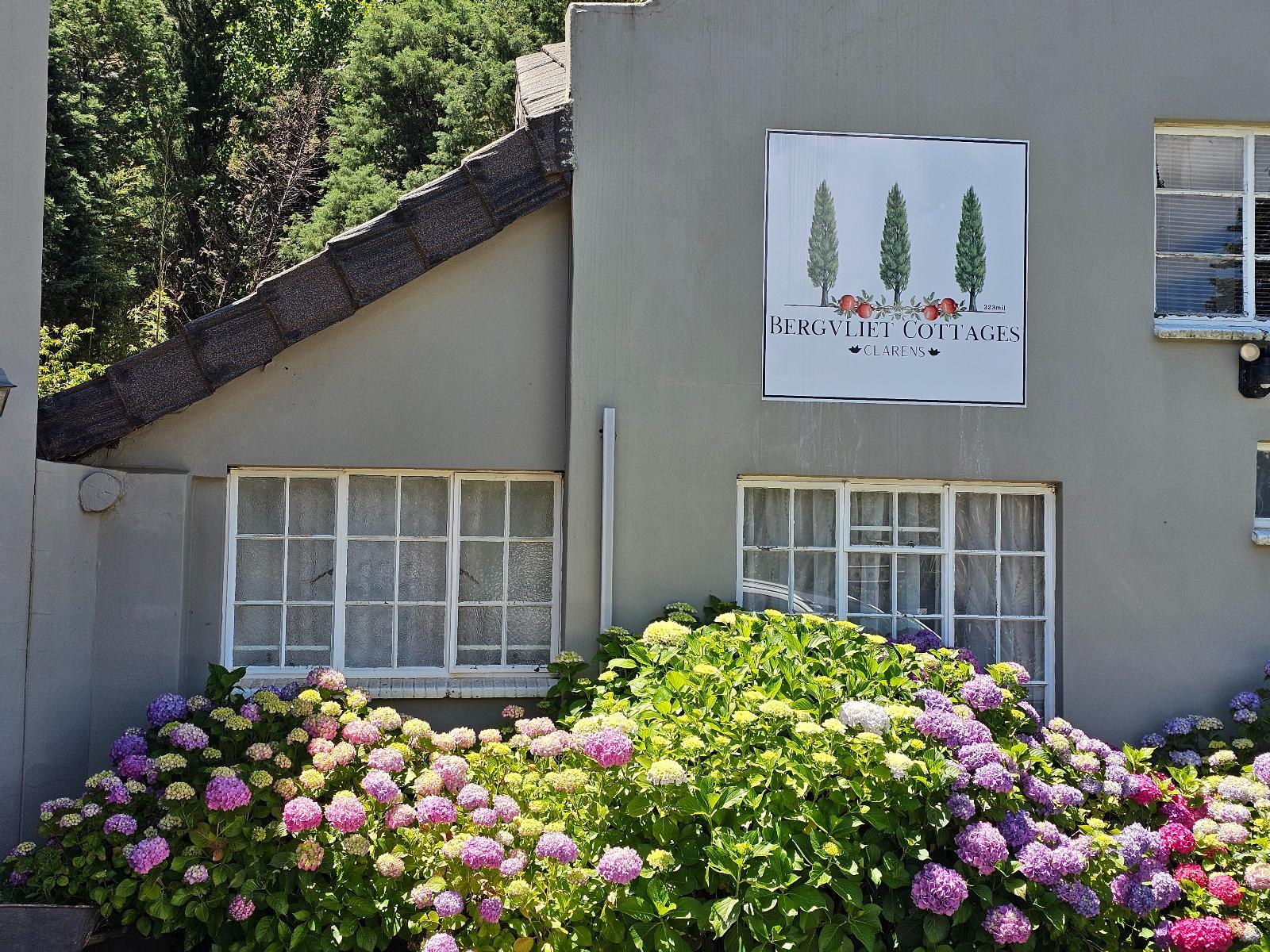 Bergvliet Cottages Clarens