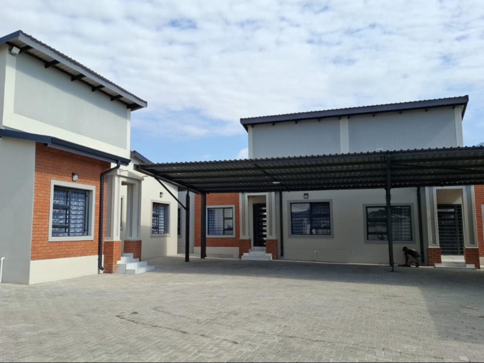 Ficus self catering