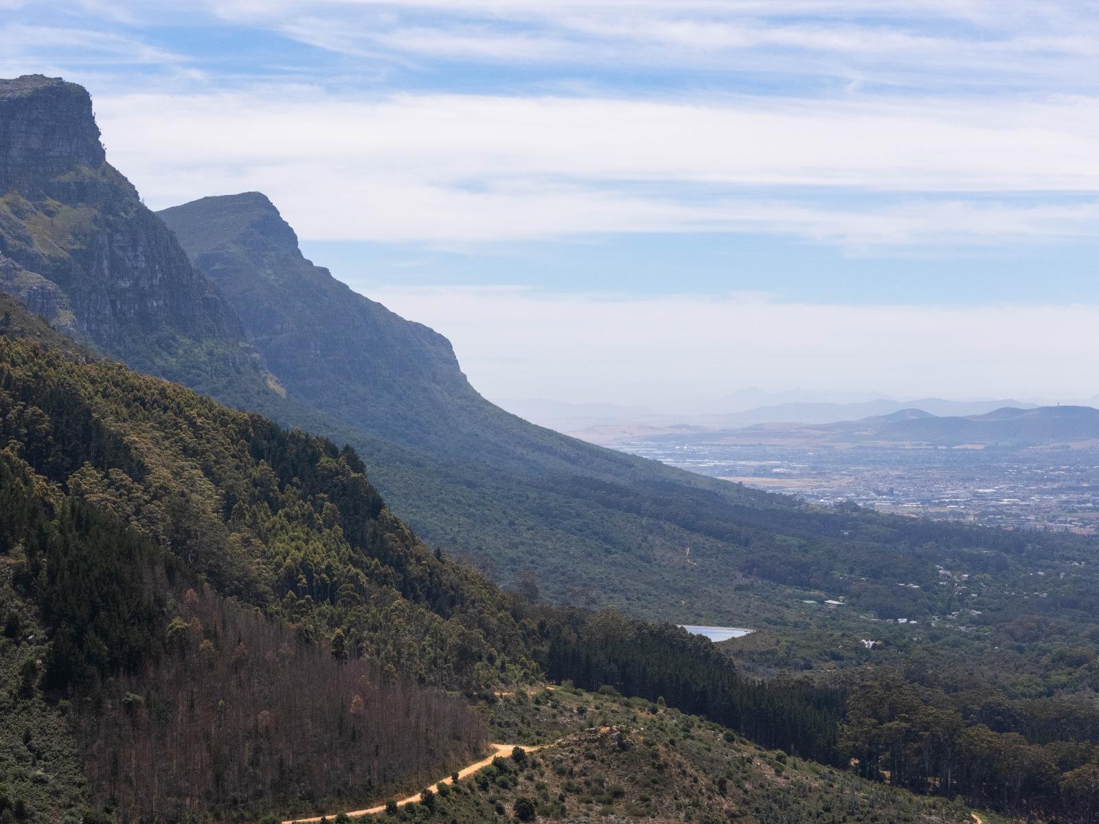 Steenhuis Constantia