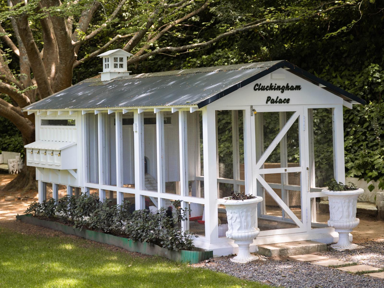 Steenhuis Constantia