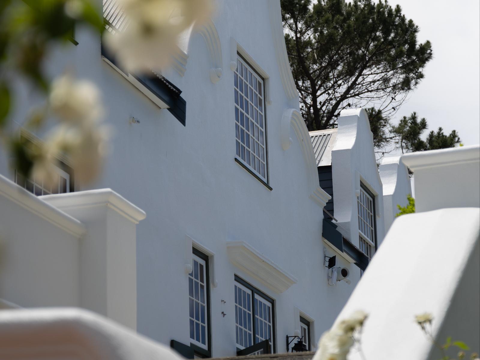 Steenhuis Constantia