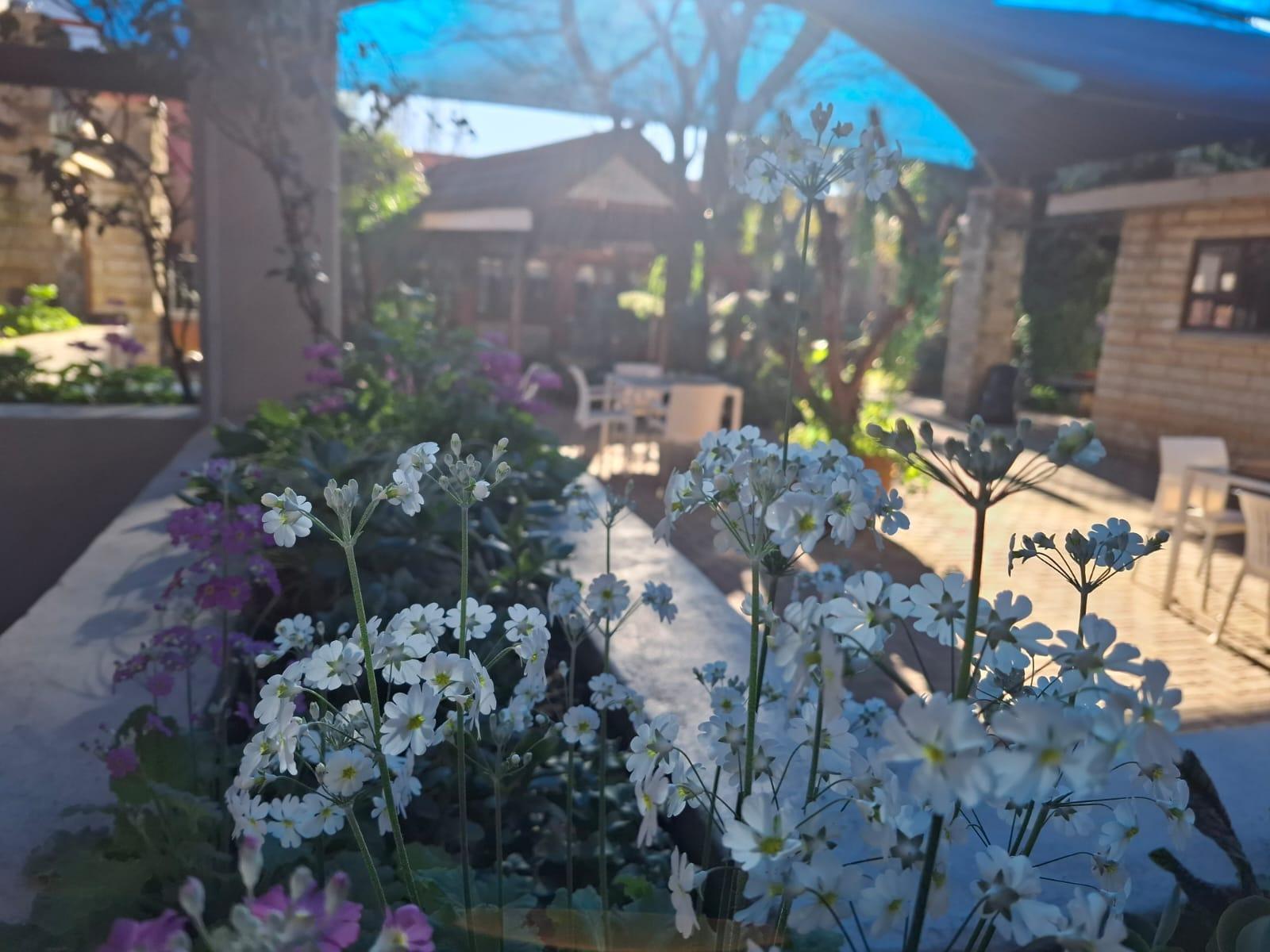 My Housy Guesthouse